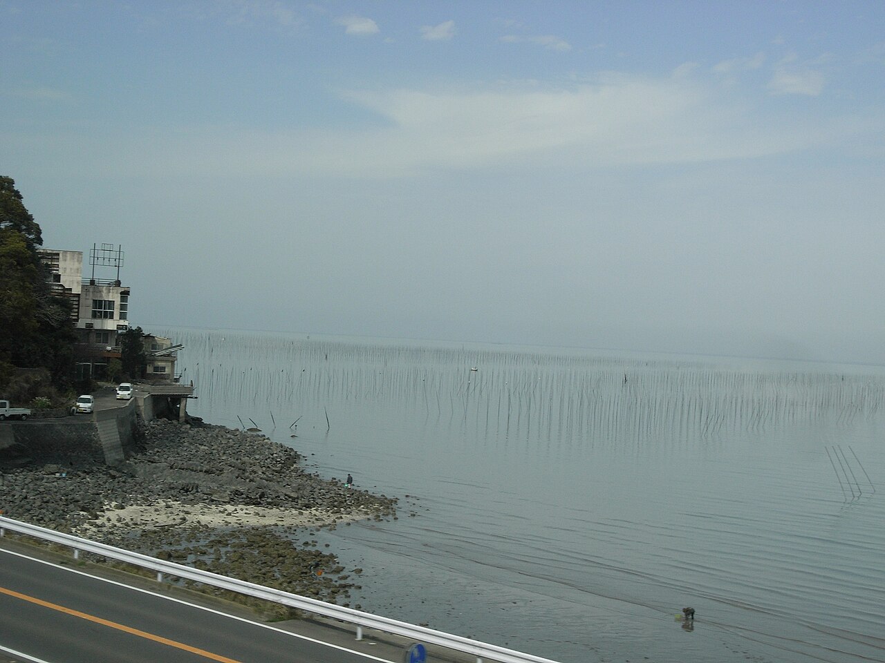 有明海（佐賀県太良町）に並ぶノリ養殖の支柱
